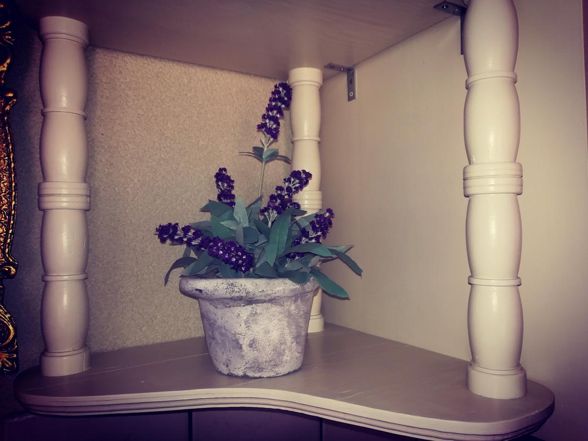 Apartment Ines 诺维·维诺多尔斯基 外观 照片